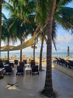 A beachside seating area with lounge chairs and umbrellas, palm trees, and a view of the sea.