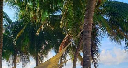 GEM w Pool near BEACH & 5th Ave. Hi-speed Wifi, Top-Notch LOCATION. KIDs OK!