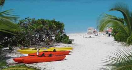 Schöne 3 Schlafzimmer APT für 6 direkt am besten Strand + grüne Schildkröten !! SP