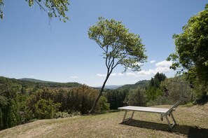 Property grounds - Amazing countryside villa with private pool in Tuscany between Arezzo & Florence (Stia)
