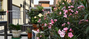 The Jasmine Terrace Retreat: elegant and quiet apartment  in the city center 