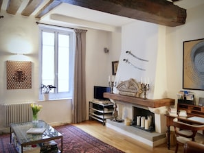 Télévision, cheminée, lecteur de DVD, livres