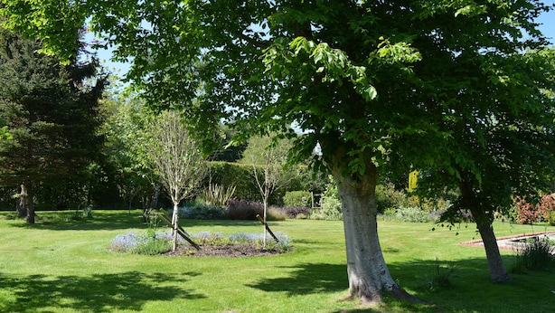 A garden with a wooden bench, a large tree, and a well-maintained lawn. - Comfortable Barn, Ashdown Forest, Fantastic Local Pub, Excellent For Walkers (Danehill, Haywards Heath)