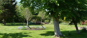 快適な納屋、アシュダウンフォレスト、素晴らしい地元のパブ、ウォーカーのための優れた