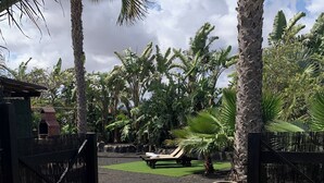 Un bain à remous entouré d’une végétation tropicale luxuriante et un espace clos aménagé avec des chaises longues.