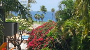 Um jardim tropical com palmeiras, piscina e vista para o oceano.