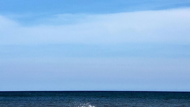 A seagull in flight over a body of water. - Beautiful Condo Steps to the Gulf!  (Gulf Shores)