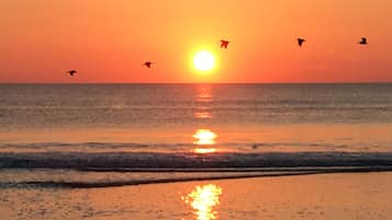 Am Strand, LiegestĂŒhle, StrandtĂŒcher