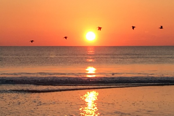A la platja, gandules de platja i tovalloles de platja