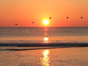 On the beach, sun loungers, beach towels