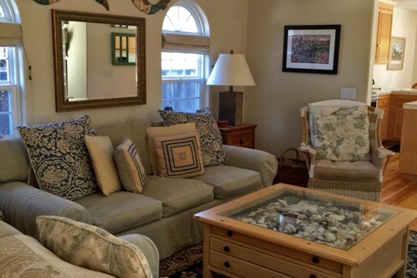 TV, fireplace, DVD player, books