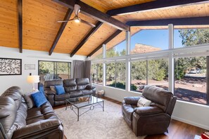 Smart TV, fireplace, books, computer monitors