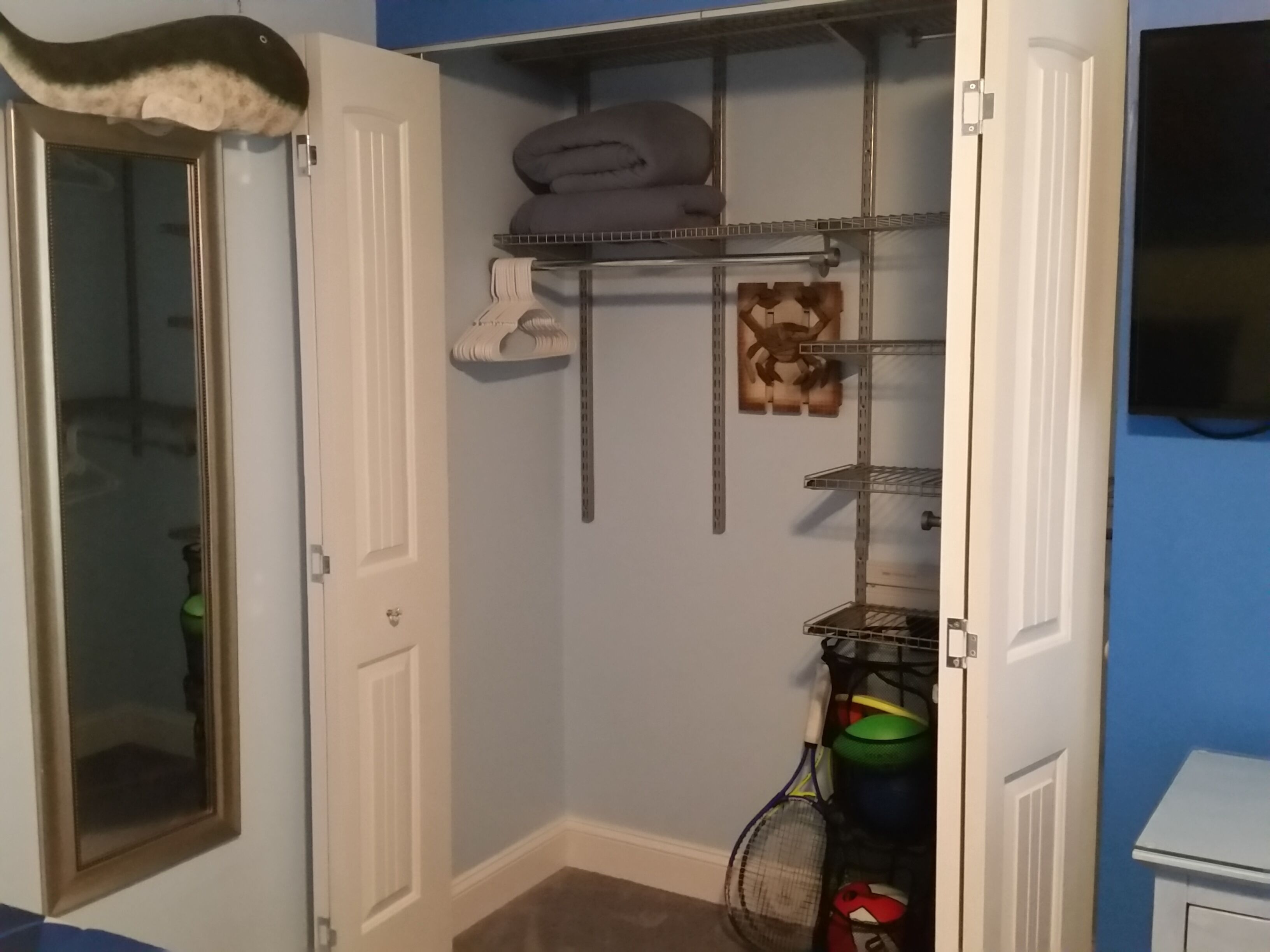 A closet with shelves, a hanging rack, and a door with a cat-shaped decoration.