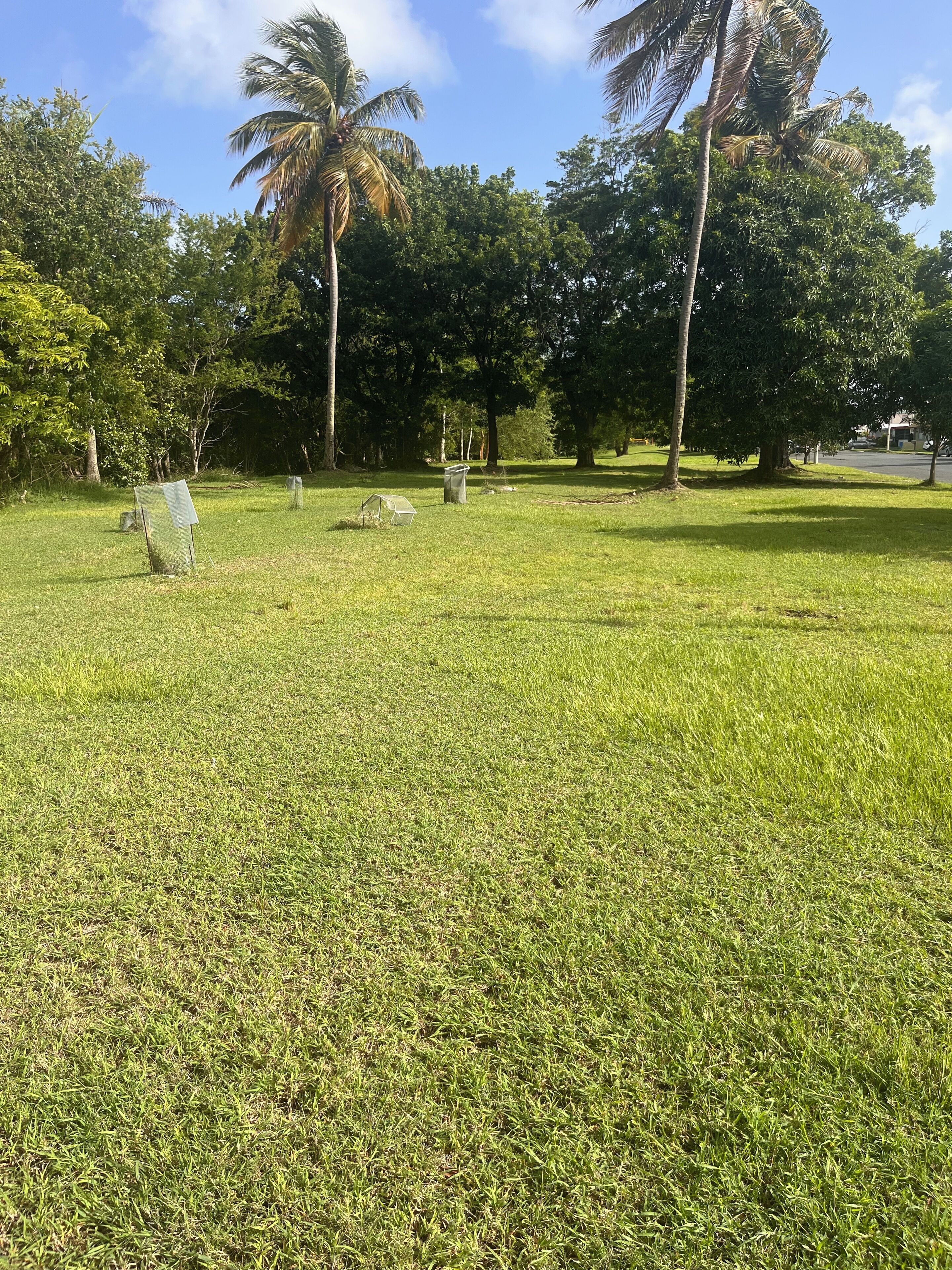 Áreas de la propiedad