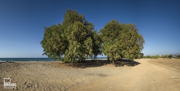 Plage à proximité