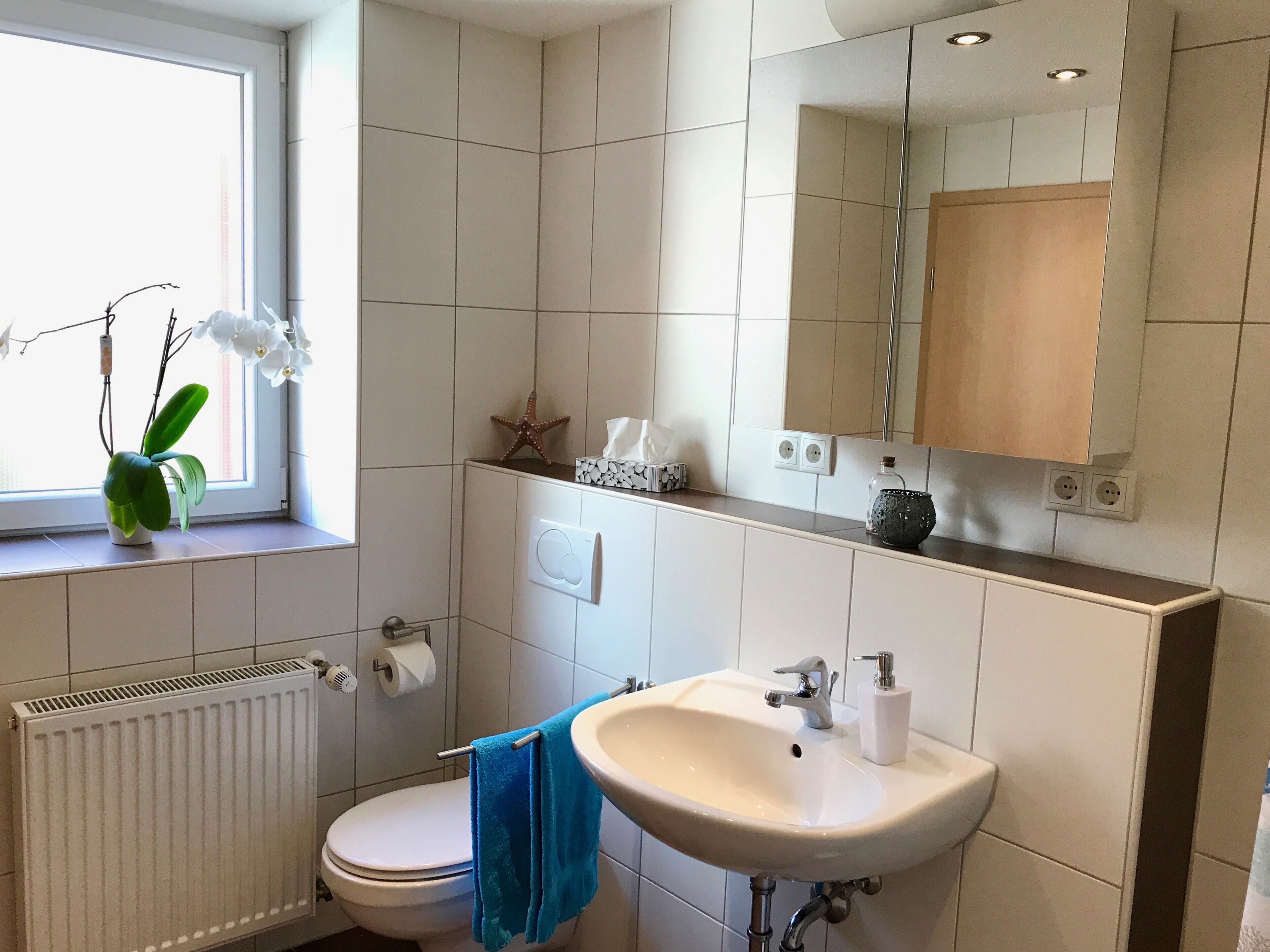 Kombinert dusj/badekar, hårføner, håndklær og såpe