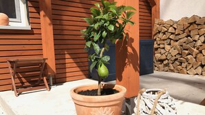 Una maceta de terracota con una planta, una silla de madera y una pila de leña.