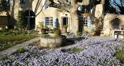 Villeneuve-les-Avignon, auf dem Land, ziemlich pavillonT2 40m2.
