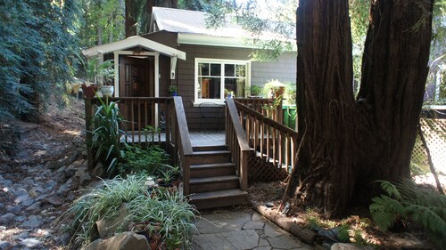 Relax in Fairfax quiet cottage in the redwoods.