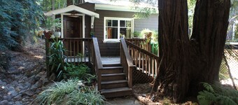Slapp av i Fairfax stille hytte i redwoods