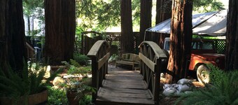 Relax in Fairfax quiet cottage in the redwoods.