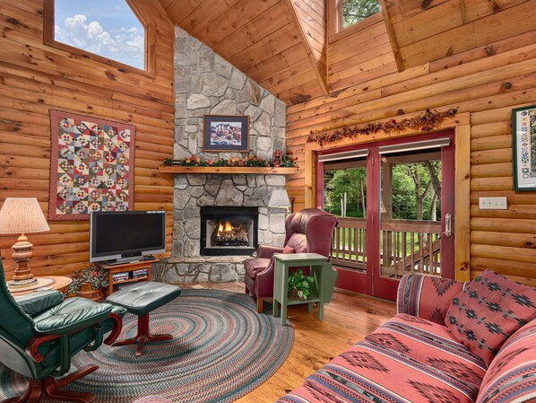 Smart TV, fireplace, DVD player, books