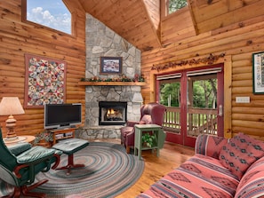 Smart TV, chimenea, reproductor de DVD, libros