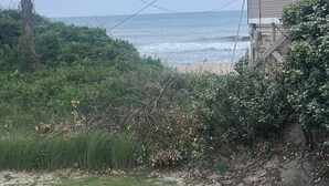 Vista costera con una casa, líneas eléctricas y vegetación.