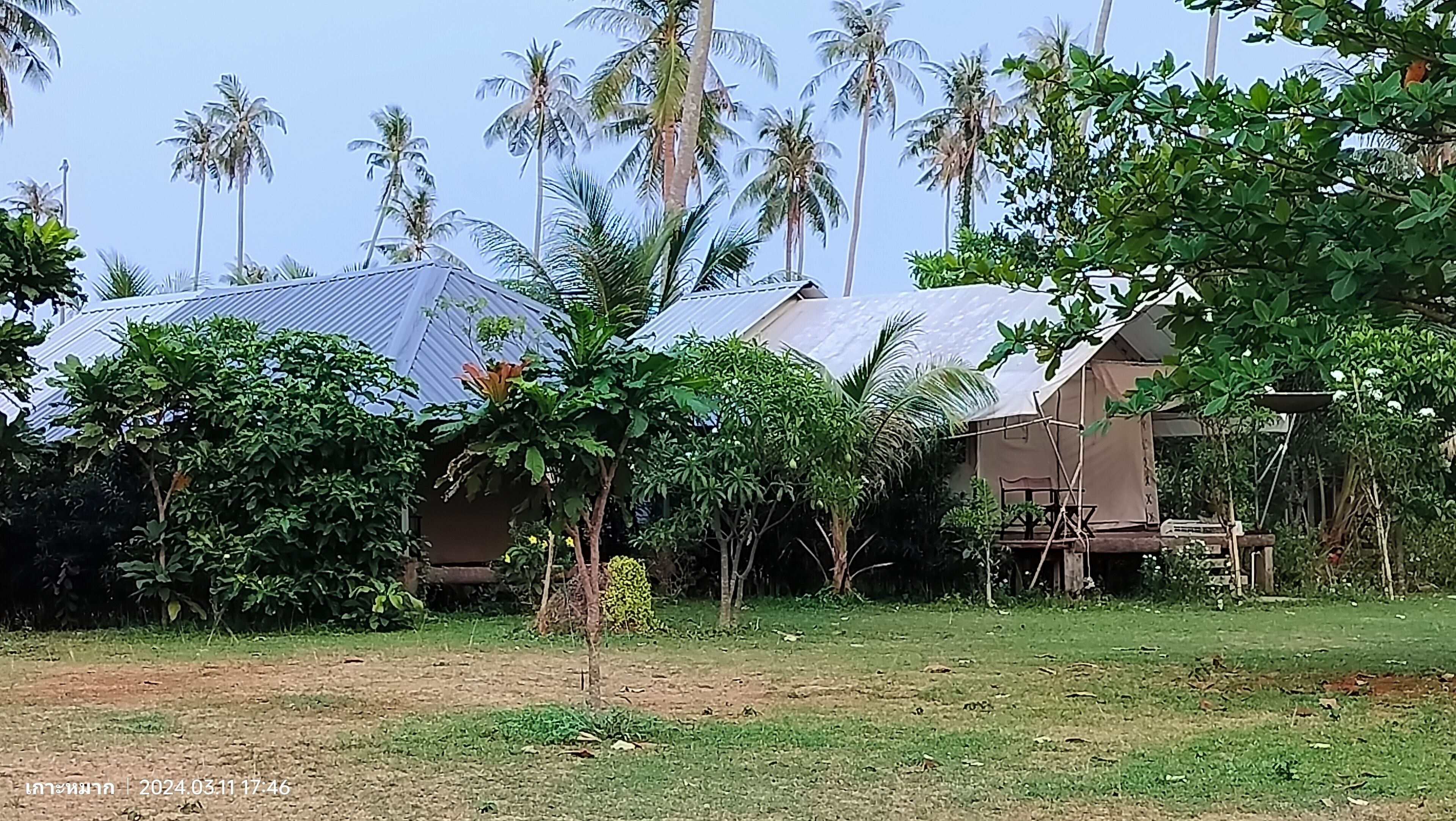 Ein rustikales Haus mit Metalldach, umgeben von üppiger Vegetation und Palmen.