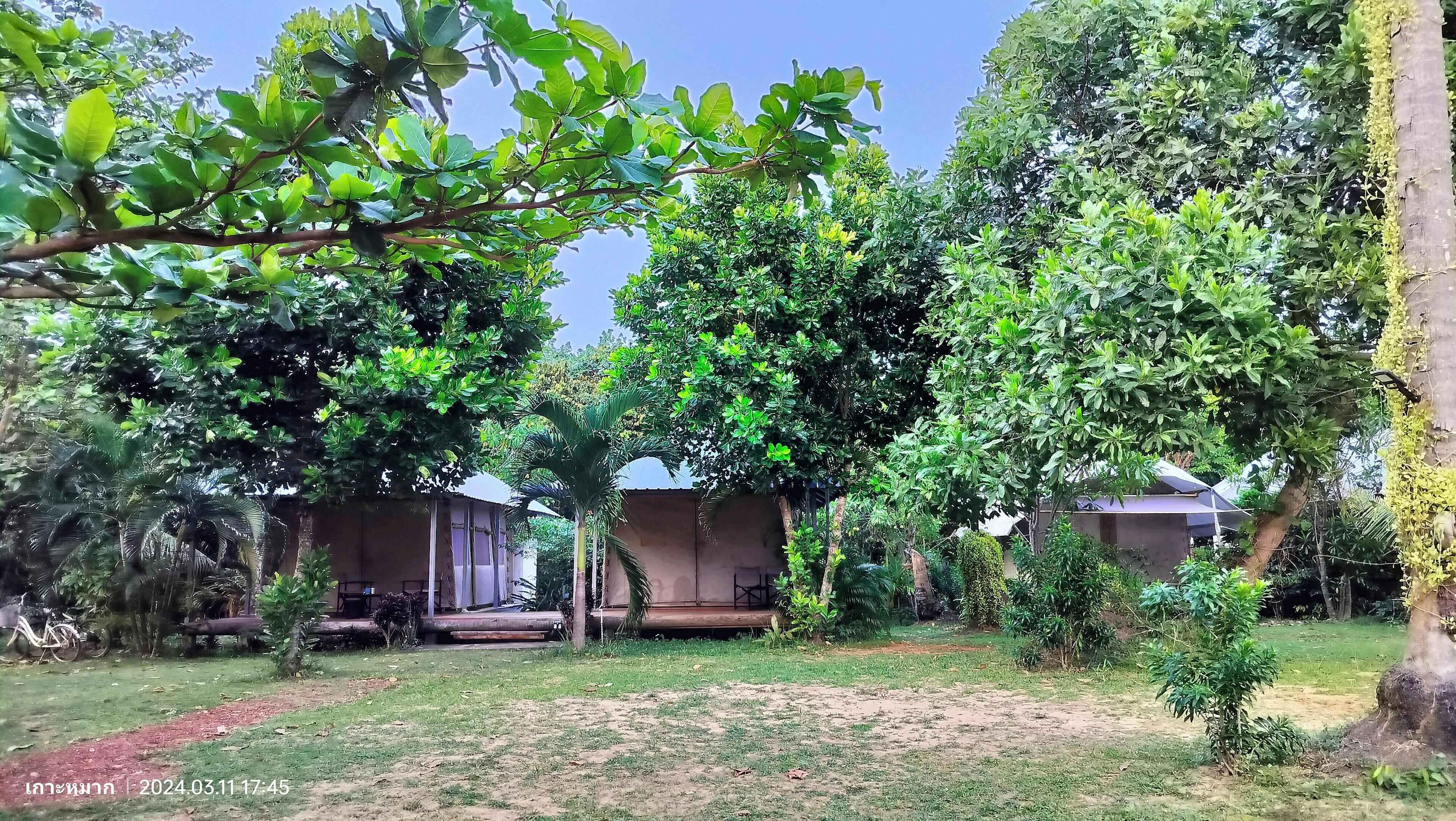 land view from property