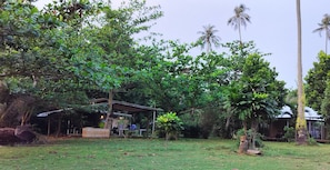 Jardim