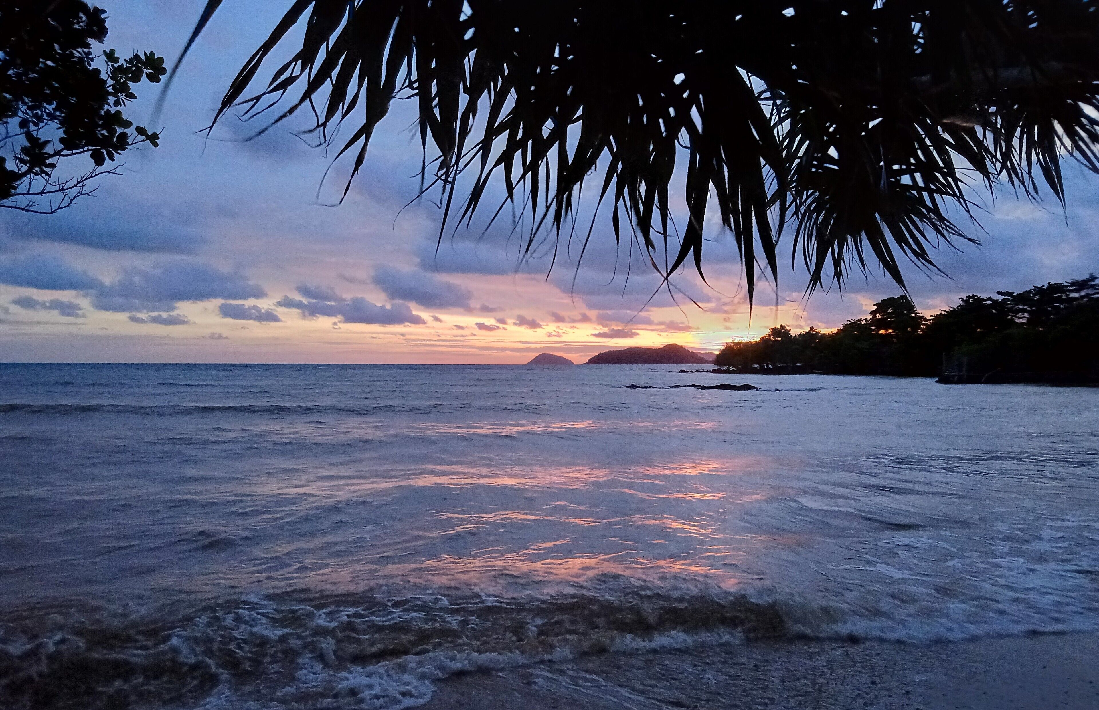 A beach scene with waves, a sunset, and silhouettes of trees.