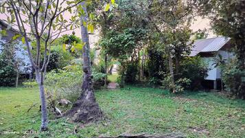 Un jardín con diversos árboles y un camino que lleva a un edificio.