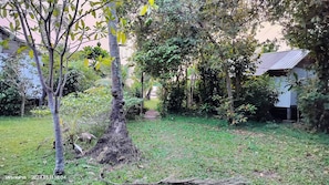 Jardín