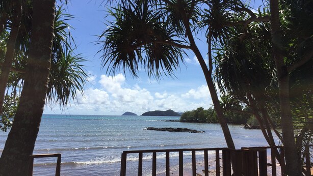 A wooden deck overlooking a beach with palm trees and a view of the ocean.