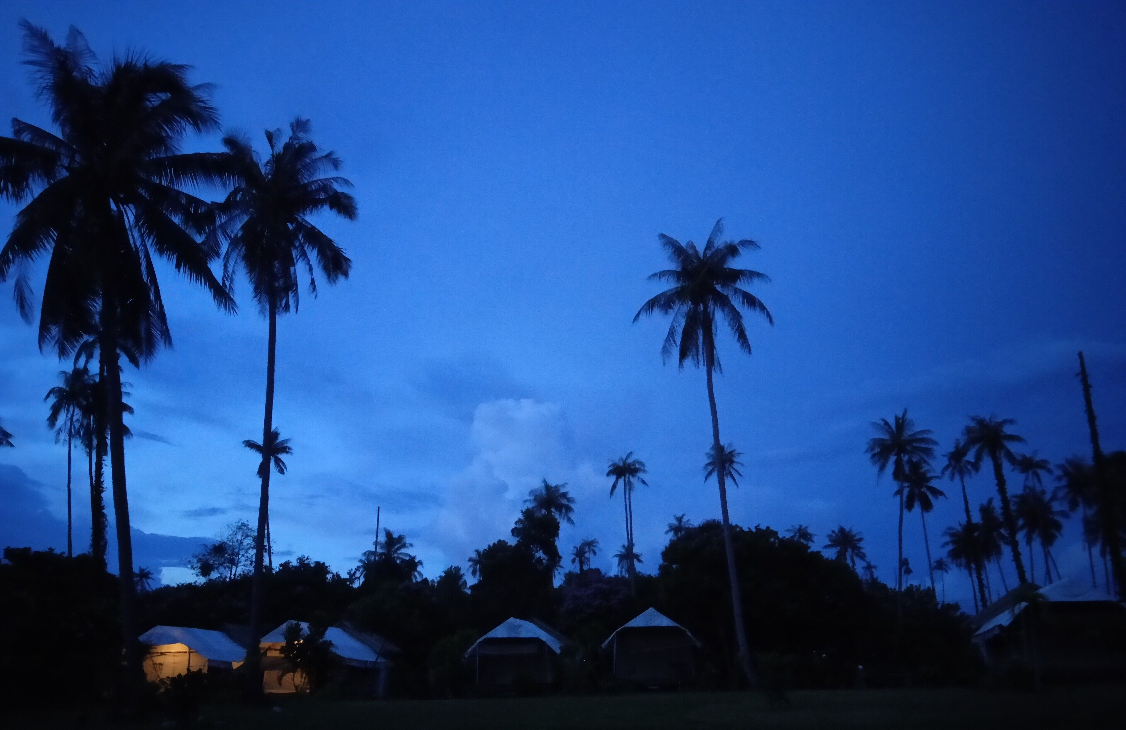 Un resort tropical con palmeras y cabañas de techo de paja bajo un cielo crepuscular.