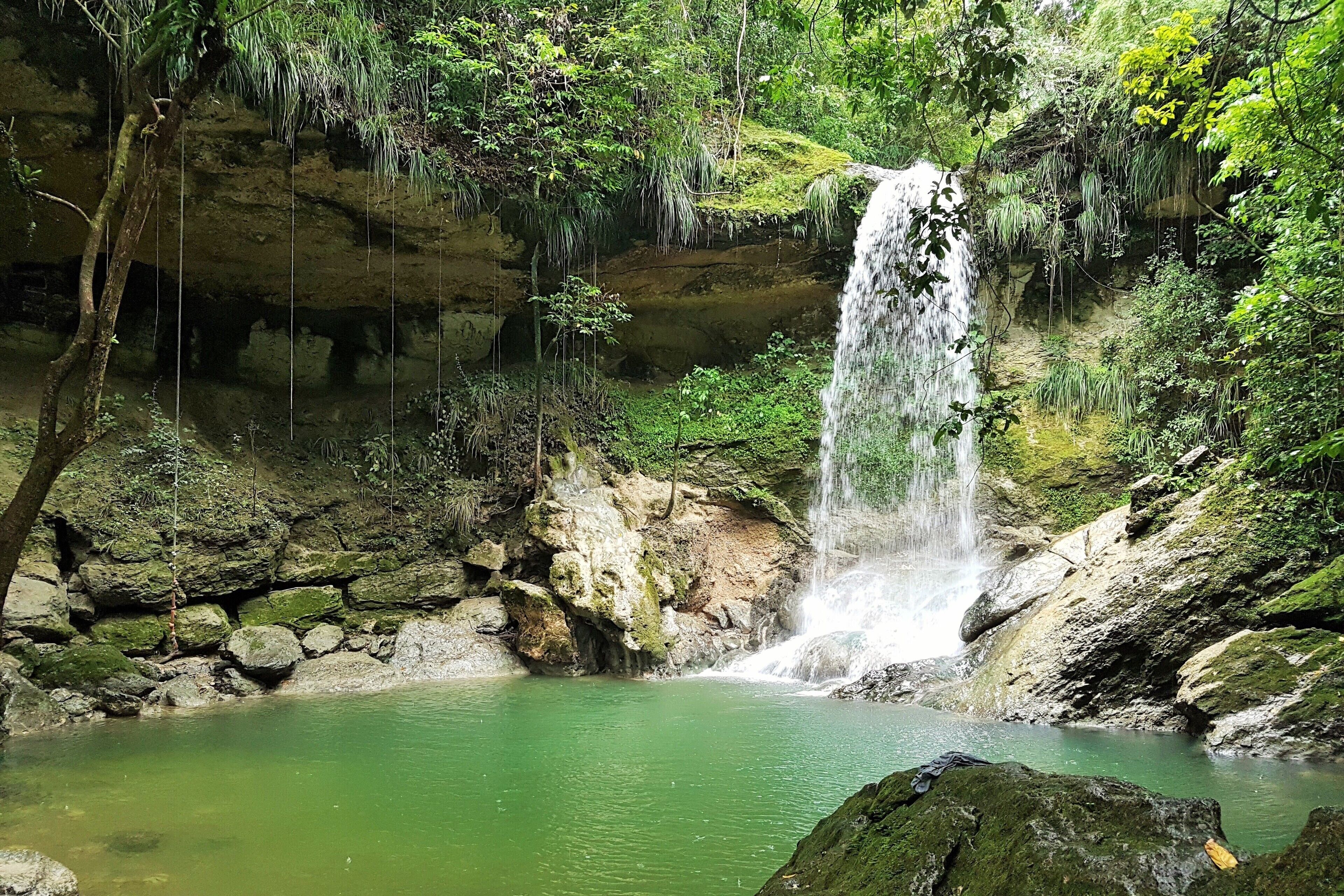 Ein Wasserfall stürzt in einen klaren Pool, umgeben von Felsen und Grünpflanzen.