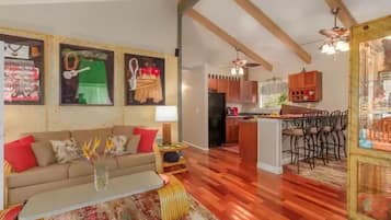 TV, fireplace, DVD player, books