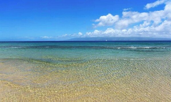 On the beach, sun-loungers, beach towels - A jewel on Oceanfront & Breath Taking Views. (Lahaina)