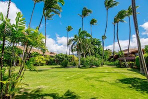 Um jardim tropical com palmeiras e um gramado bem cuidado.