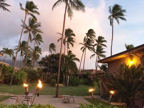 Outdoor dining - A jewel on Oceanfront & Breath Taking Views. (Lahaina)