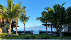 A pathway leading to a beach with palm trees and a mountain in the background. - A jewel on Oceanfront & Breath Taking Views. (Lahaina)