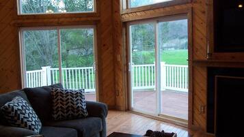 TV, fireplace, DVD player, books