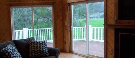 TV, fireplace, DVD player, books