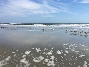 Beach nearby, sun-loungers