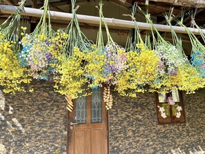 Property grounds - Sainamtok Resort (Khao Kho)