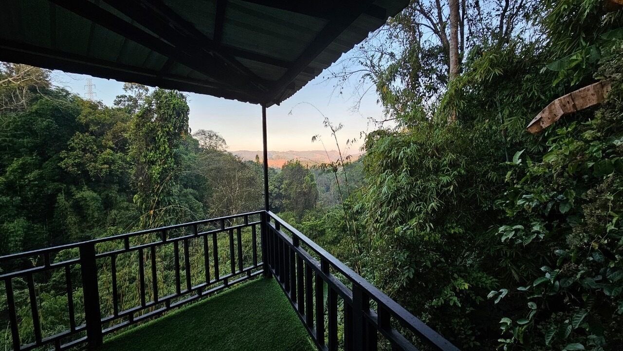 A balcony with a view of a lush forest and a distant mountain range.