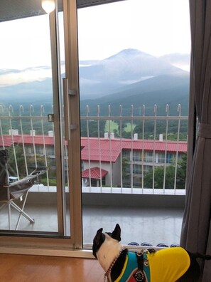 可攜帶寵物