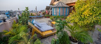 Hotel Pomelo House