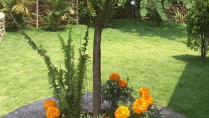 Property amenity - Backpackers Home (Pokhara)